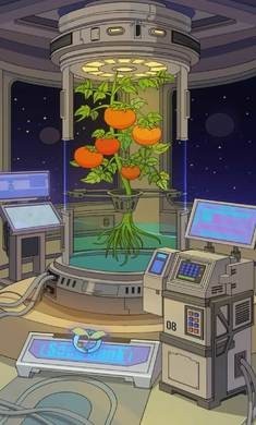 宇宙农场物语中文版4