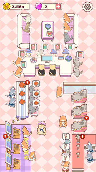 猫咪宾馆3