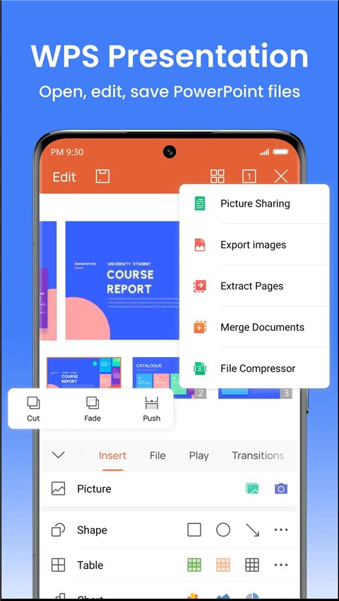wps office3