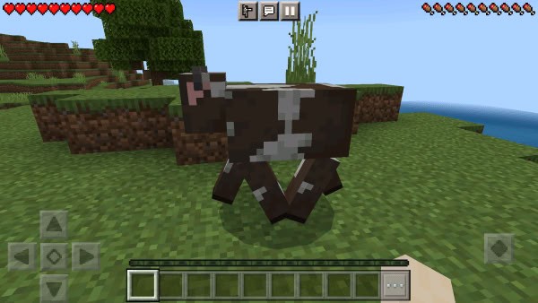 我的世界修改器(ToolMcFRZ)2