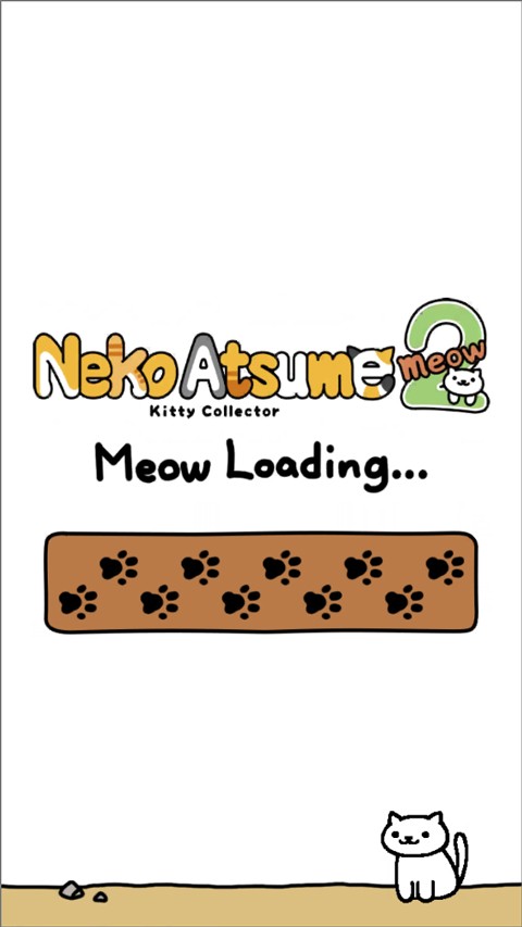 猫咪后院23