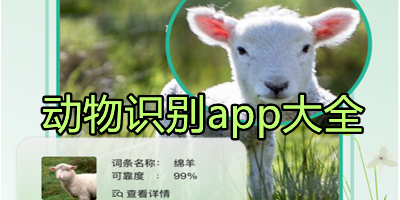 动物识别app