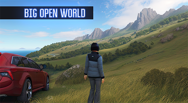 Open World MMO1