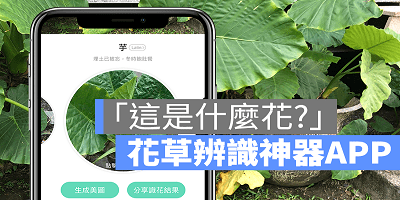 拍照识别植物软件