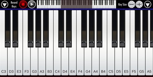 RealPiano3