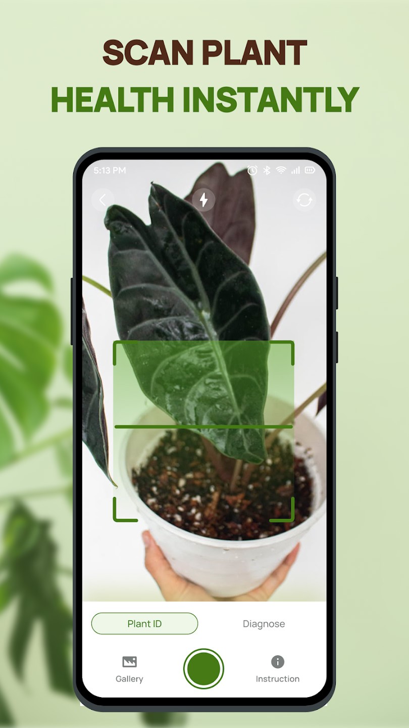 Plant Health Identifier1