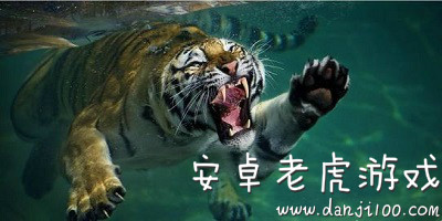 老虎游戏