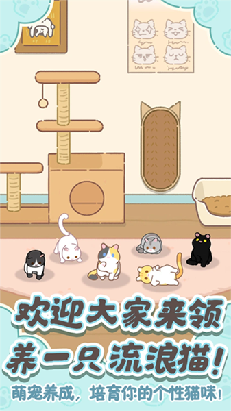 领养一只流浪猫2