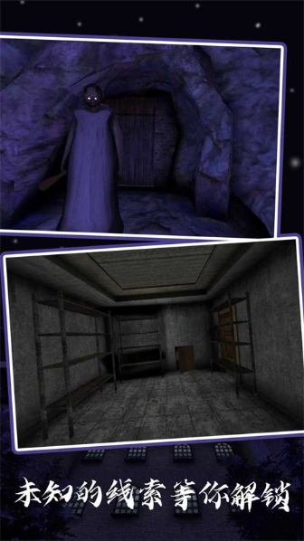 恐怖老奶奶5：苏醒时刻手机版2