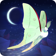 彩翼之星夜最新版