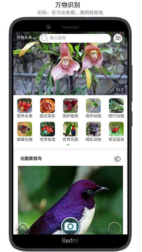 万物识别app1