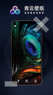 青云壁纸app2