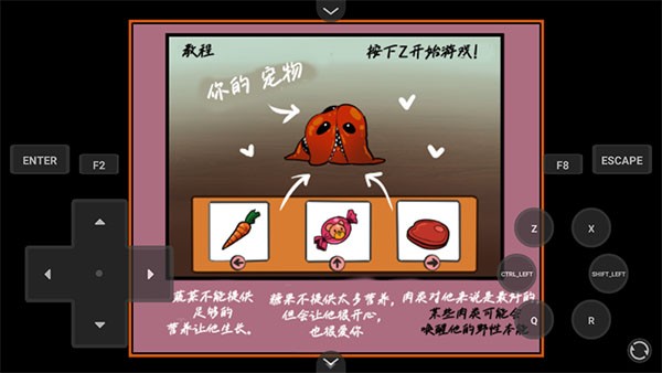 家养宠物游戏2