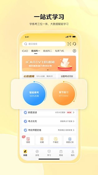 飞行之翼5