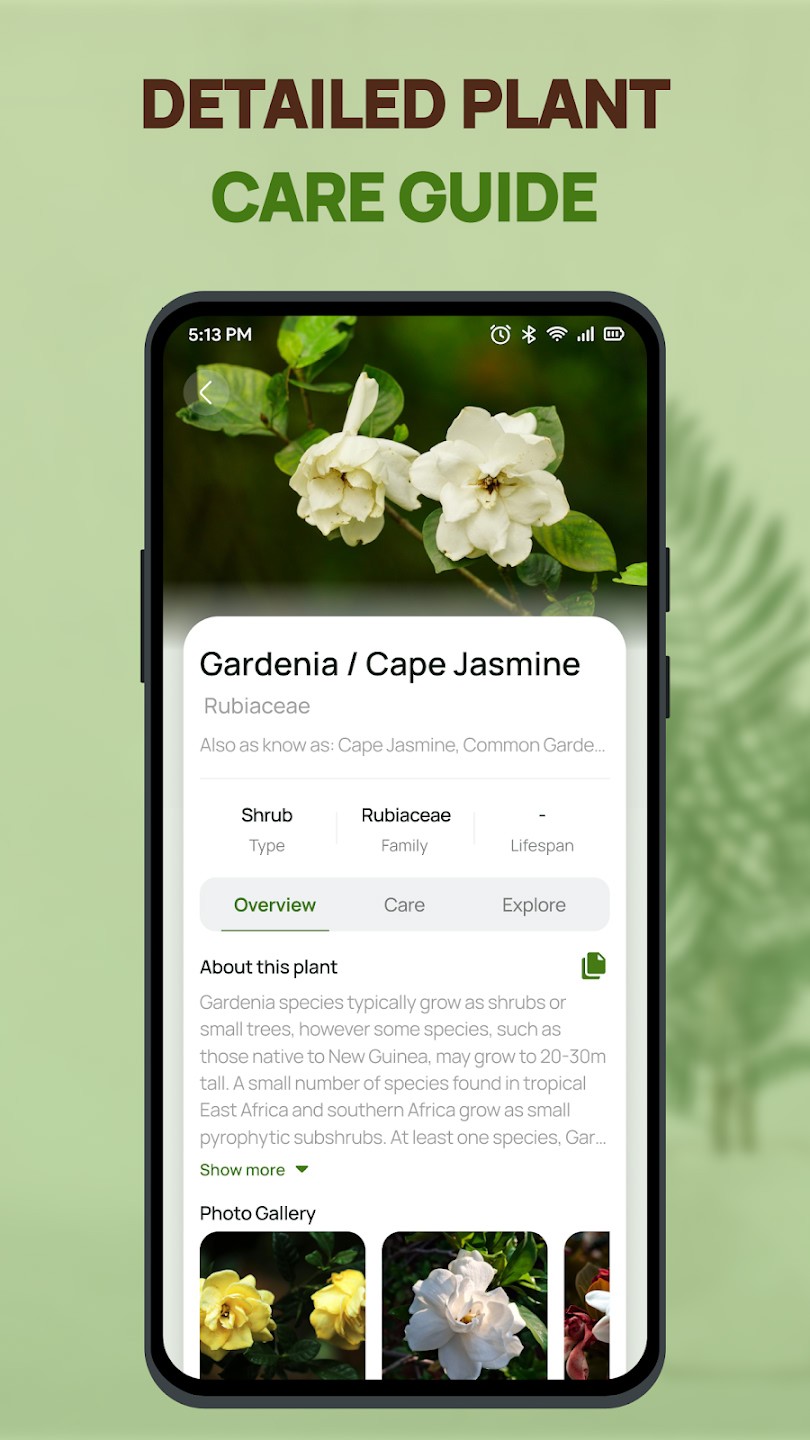 Plant Health Identifier4