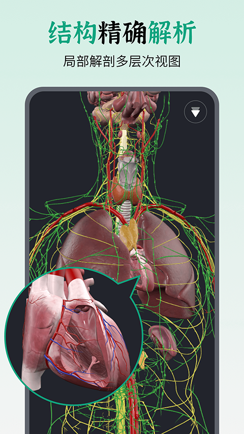 万康人体解剖app1