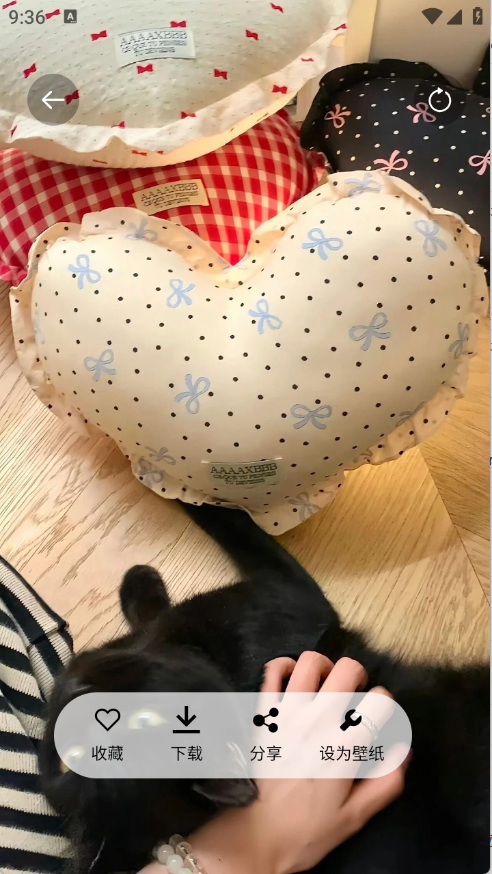 随心手机壁纸app2