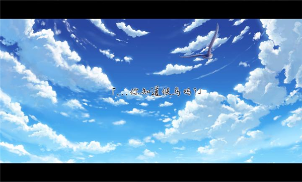 候鸟移植版2