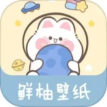 鲜柚壁纸自定义版