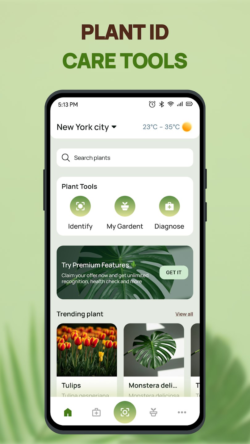Plant Health Identifier2