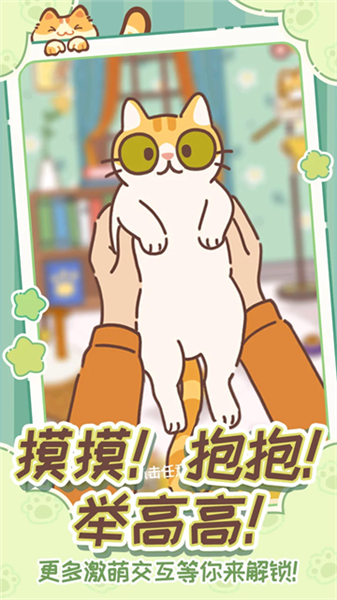 领养一只流浪猫1