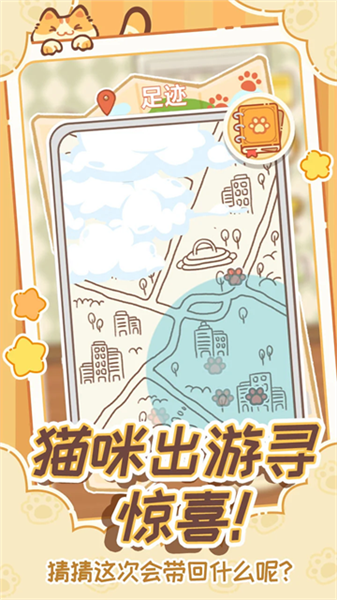 领养一只流浪猫4
