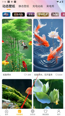 桌面养鱼壁纸app1