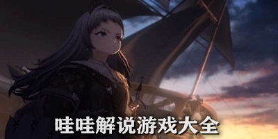 哇哇解说游戏