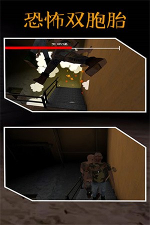 恐怖双胞胎重制版4