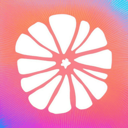 柠檬框架游戏辅助器app