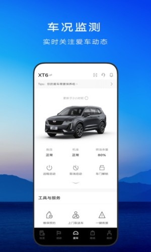 MyCadillac2