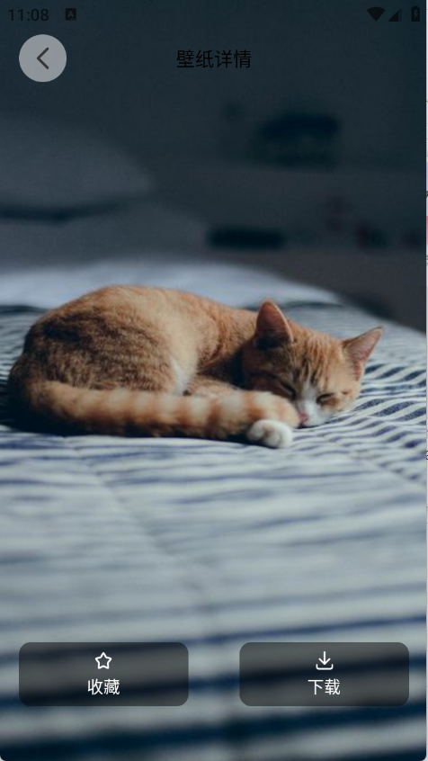 萌猫派对壁纸app3