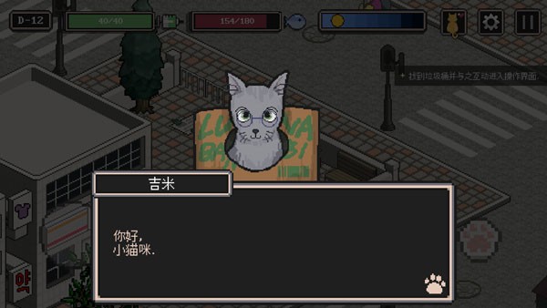 流浪猫的故事4