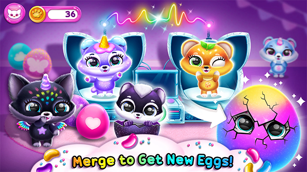 菲露茜斯宠物猫游戏1