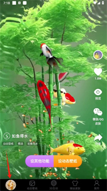 桌面养鱼壁纸app3