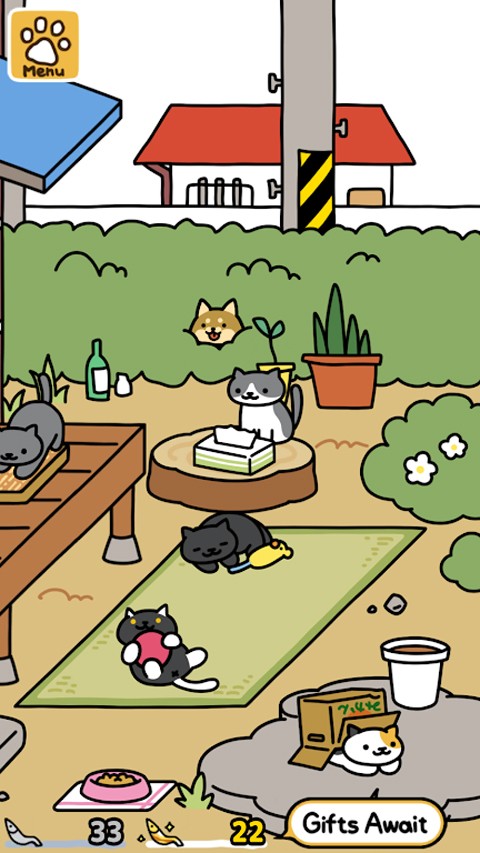 猫咪后院24