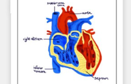 1718508222574485.png image.png