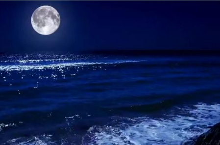 1700098932437191.png image.png