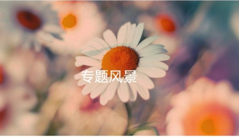 1639641490809465.png image.png