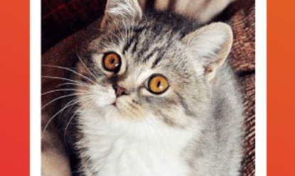 1716532714450467.png image.png