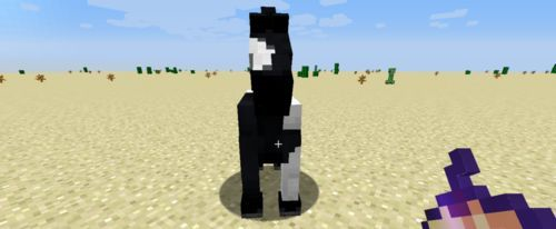 怎么驯服马截图2