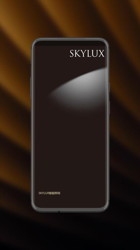 智能照明SK官方正版