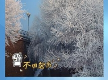 1729648128984075.png image.png