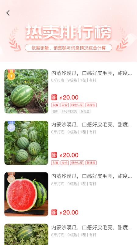 一乡一品纯净版