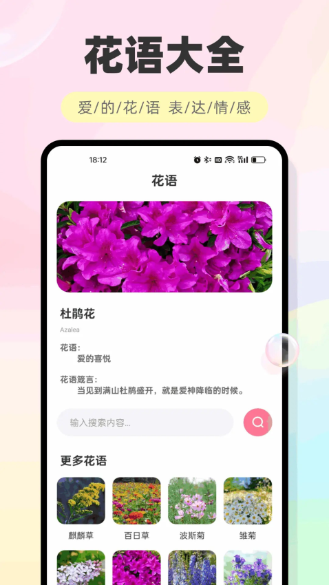 海鸥聊天官网版