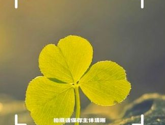 1732503402808323.png image.png