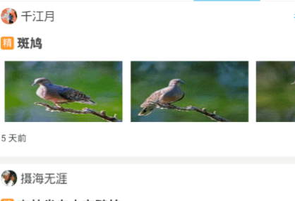 1634625933492184.png image.png