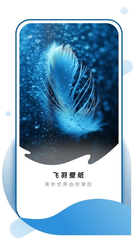 飞羽壁纸正式版