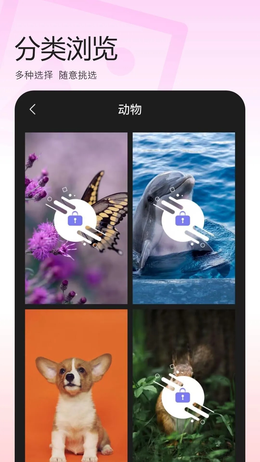百变换壁纸手机版